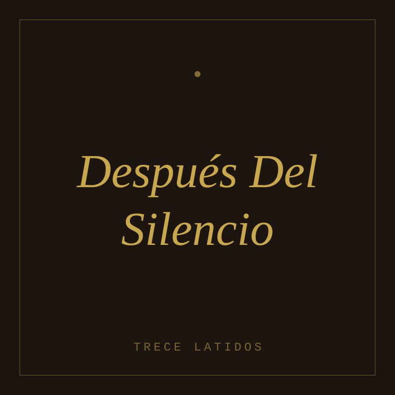Portada de Después Del Silencio